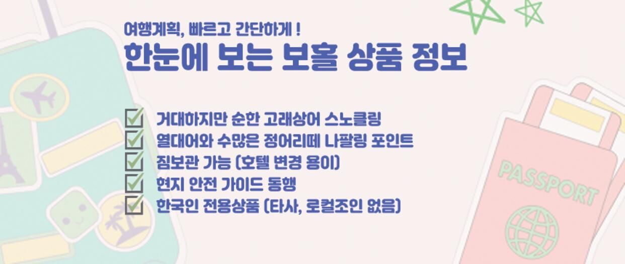 ★11월오픈예정★[보홀] 고래상어 나팔링 정어리떼 (호텔 픽업드랍 스노클링 호핑투어 상세 이미지 4