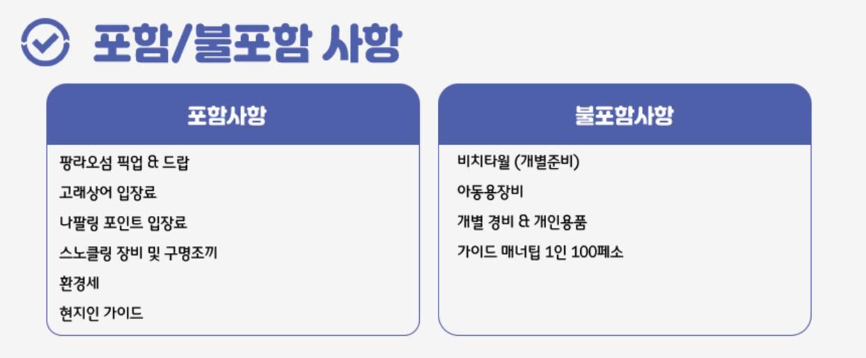 ★11월오픈예정★[보홀] 고래상어 나팔링 정어리떼 (호텔 픽업드랍 스노클링 호핑투어 상세 이미지 11