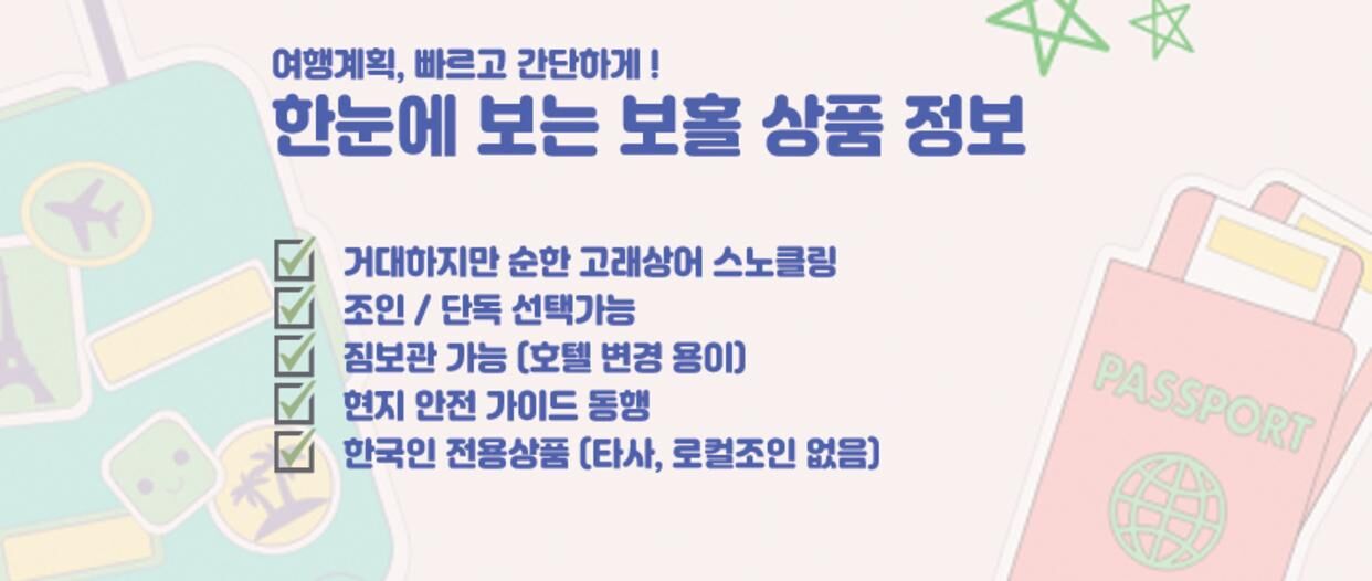 ★11월오픈예정★ [실속에실속]  보홀 고래상어 투어 (조인 단독 픽업 드랍 스노클링 호핑 상세 이미지 4