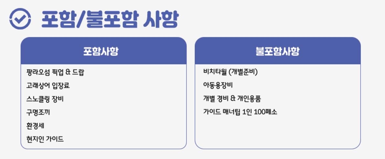 ★11월오픈예정★ [실속에실속]  보홀 고래상어 투어 (조인 단독 픽업 드랍 스노클링 호핑 상세 이미지 11