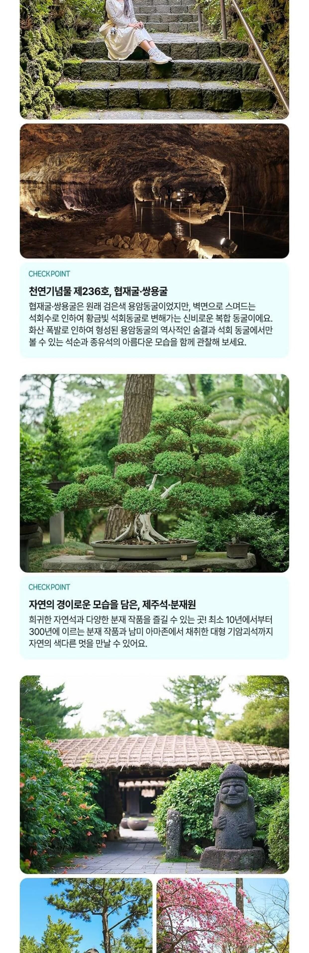 [제주] 한림공원+심쿵혜택 상세 이미지 8