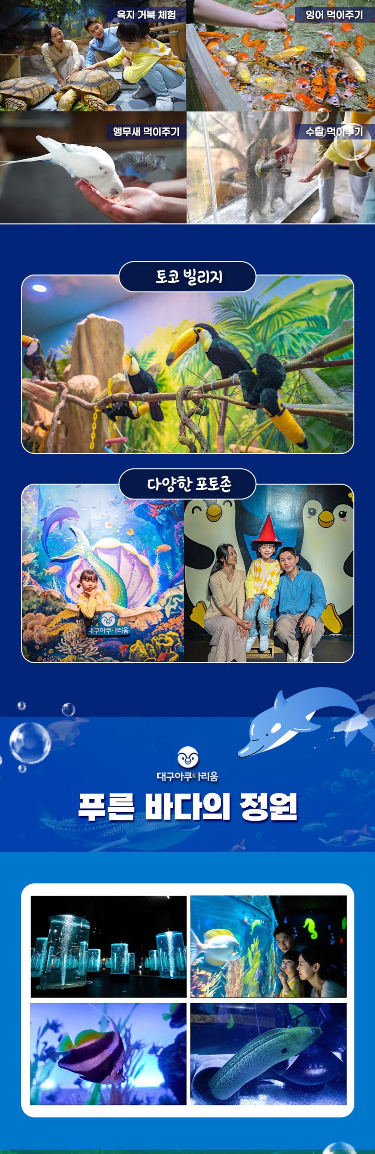 [대구 동구] 대구 아쿠아리움 입장권 상세 이미지 7