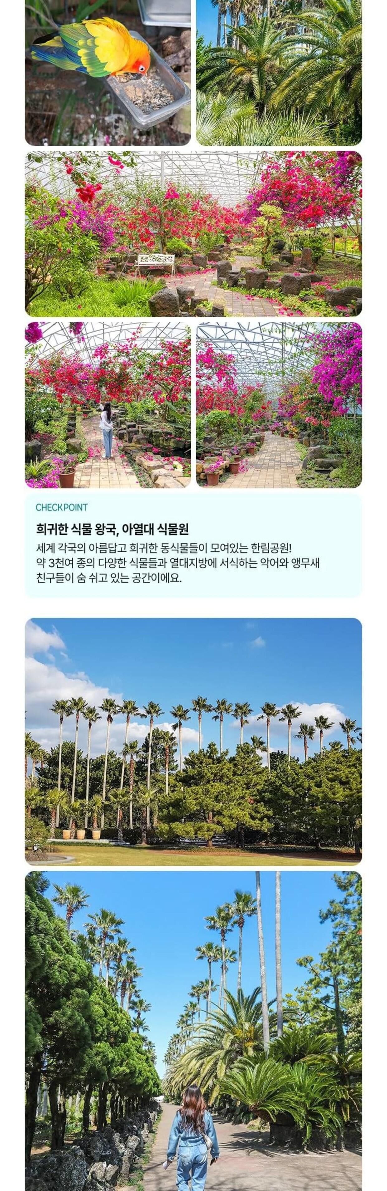 [제주] 한림공원+심쿵혜택 상세 이미지 6
