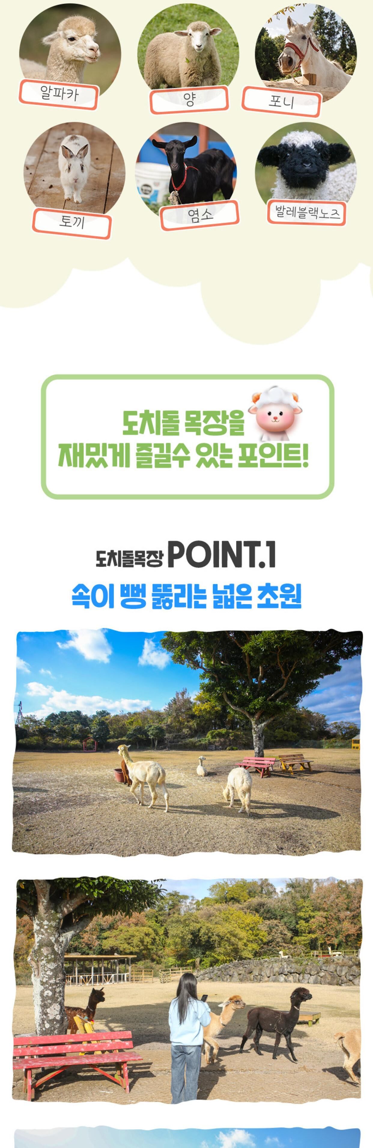 [애월] 제주 도치돌 알파카 목장 입장권 상세 이미지 6