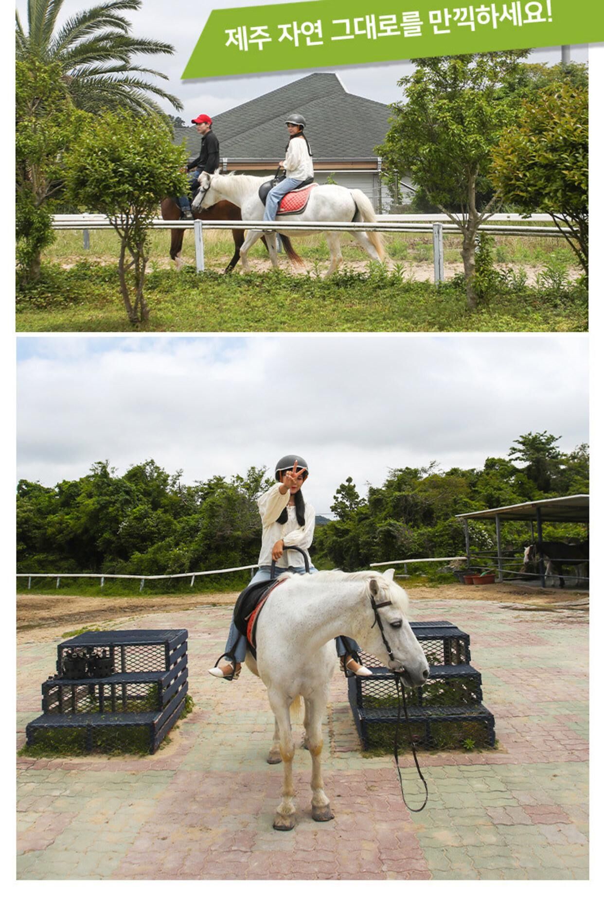 [한림] 제주 더마파크 승마 체험권 상세 이미지 3