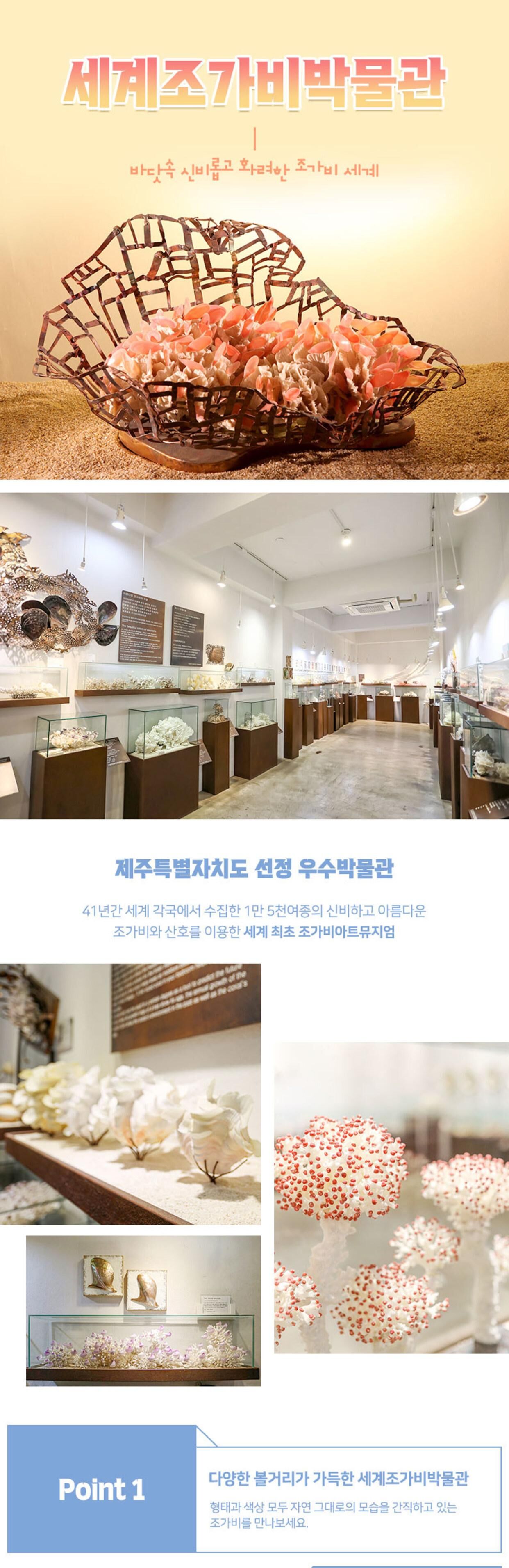 [서귀포] 제주 세계 조가비 박물관 상세 이미지 3