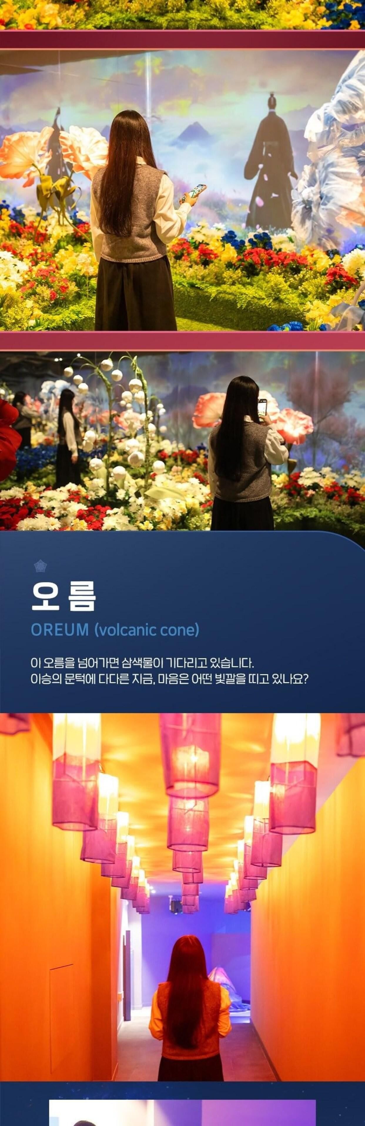 [제주시] 메이즈랜드(미로공원) 입장권 상세 이미지 6
