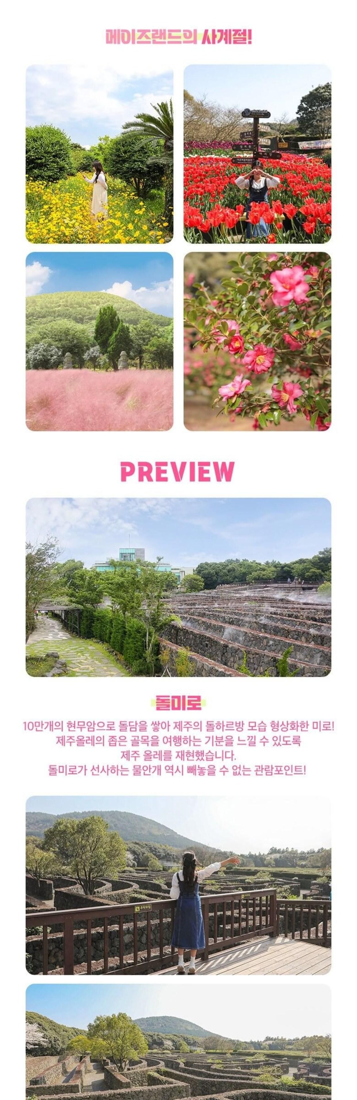 [제주시] 메이즈랜드(미로공원) 입장권 상세 이미지 11