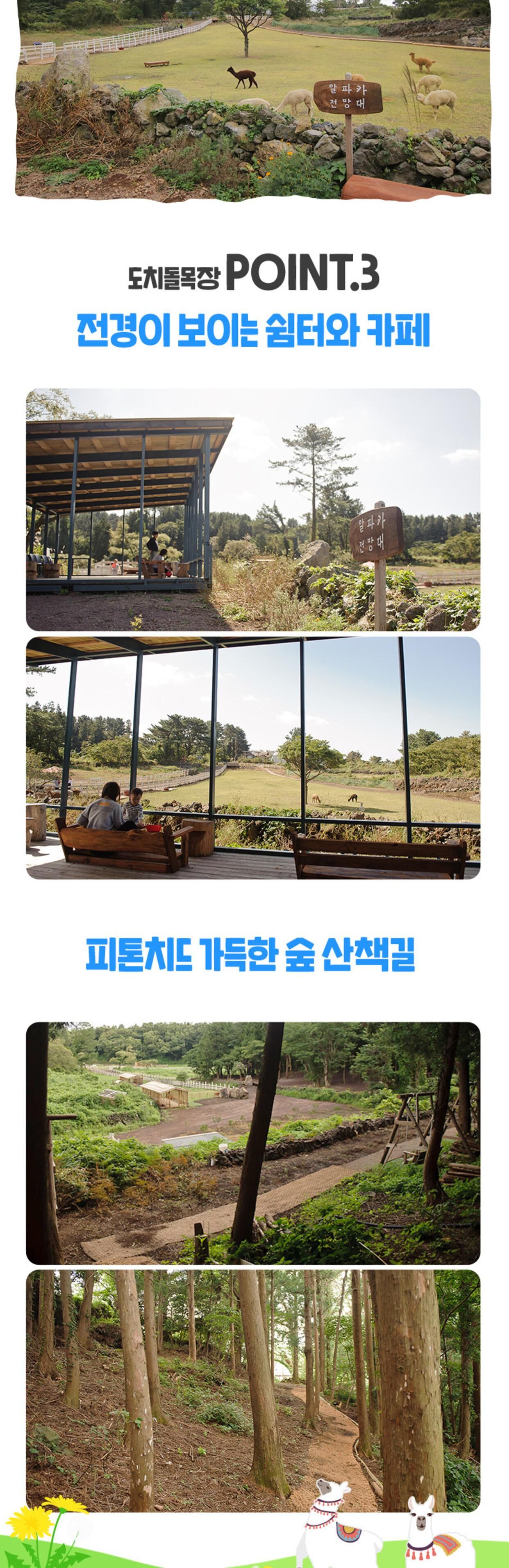 [애월] 제주 도치돌 알파카 목장 입장권 상세 이미지 8