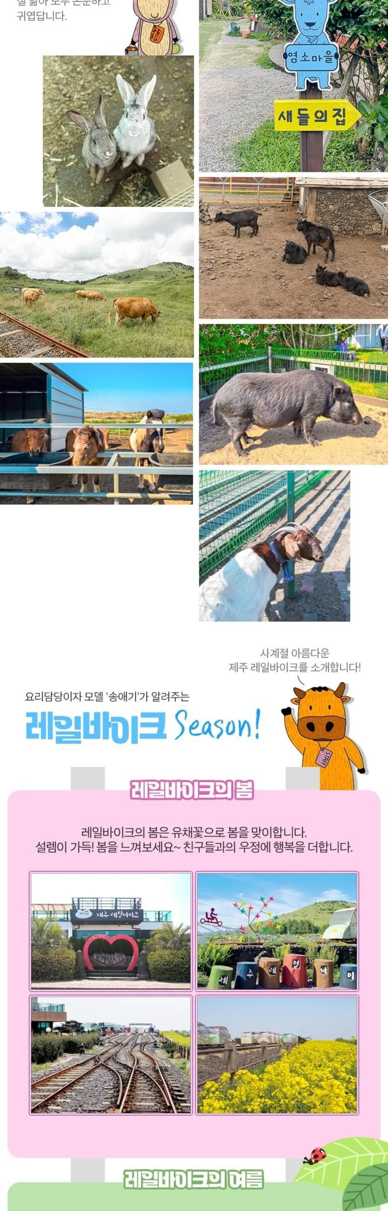 [★당일사용★] 제주 레일바이크 탑승권 (용눈이오름) 상세 이미지 4