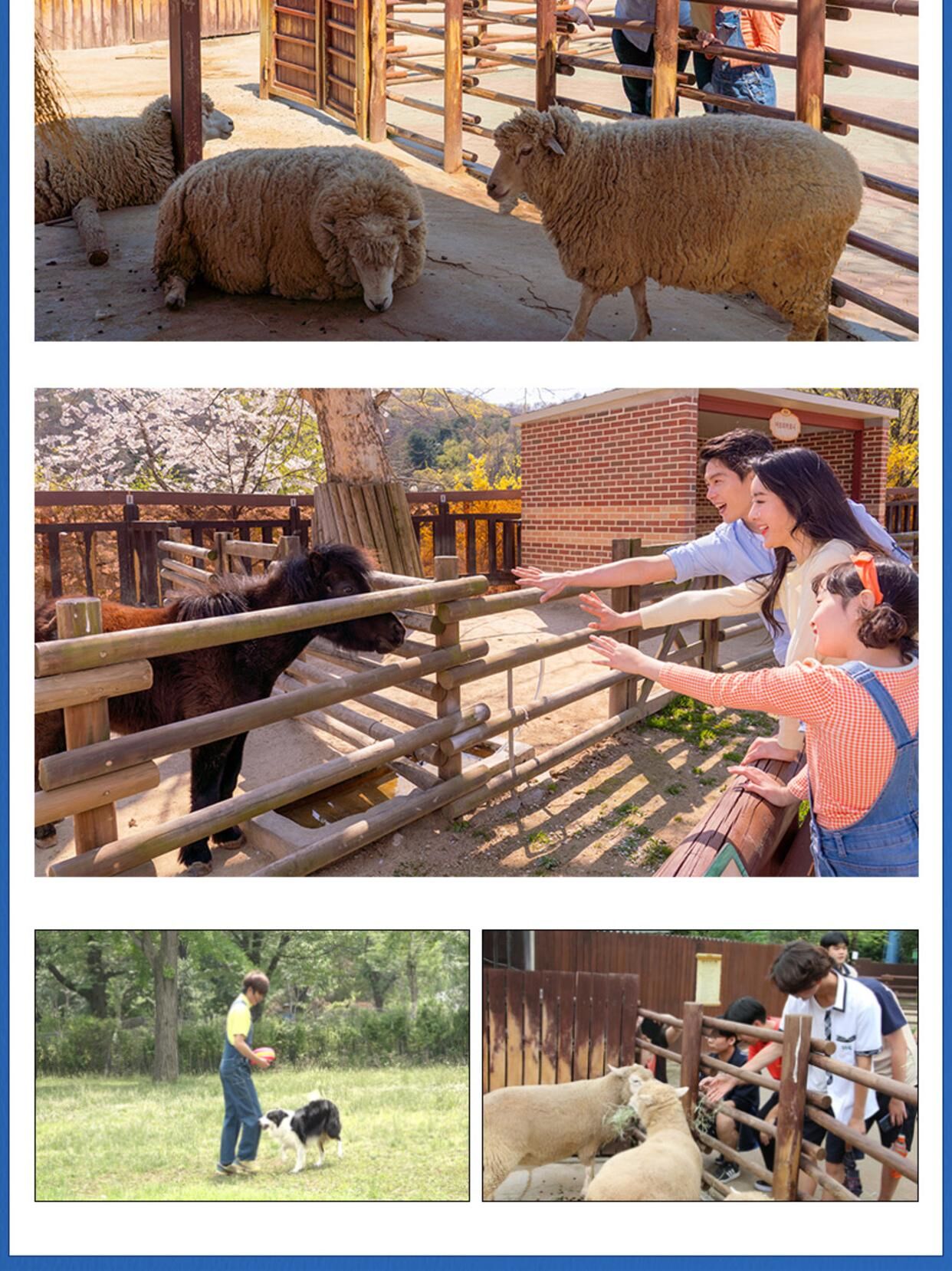 서울대공원 리프트/테마가든/서울동물원 입장권 상세 이미지 6