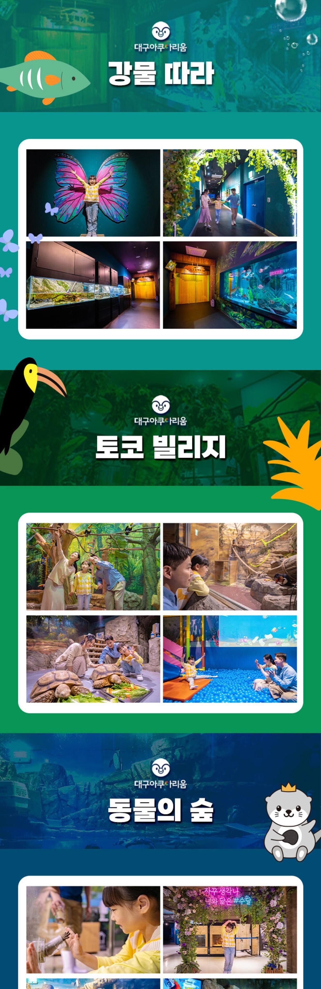 [대구 동구] 대구 아쿠아리움 입장권 상세 이미지 8