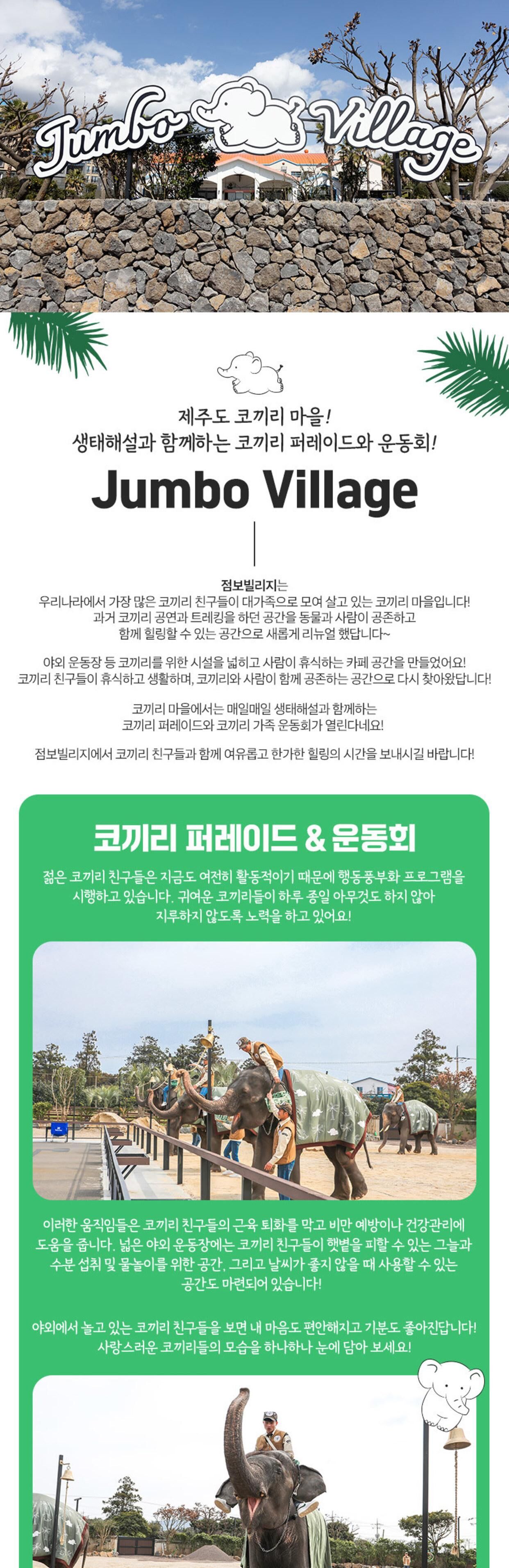 점보빌리지 입장권 (퍼레이드 관람 & 생태해설 & 코끼리 간식권) 상세 이미지 2