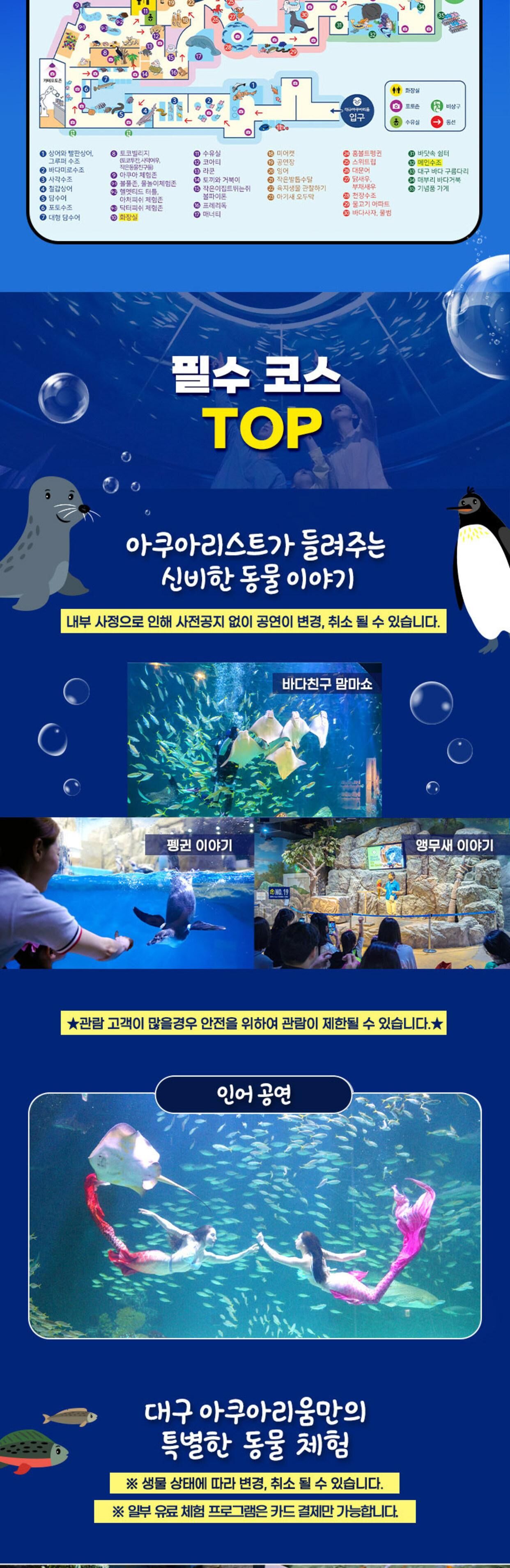 [대구 동구] 대구 아쿠아리움 입장권 상세 이미지 6