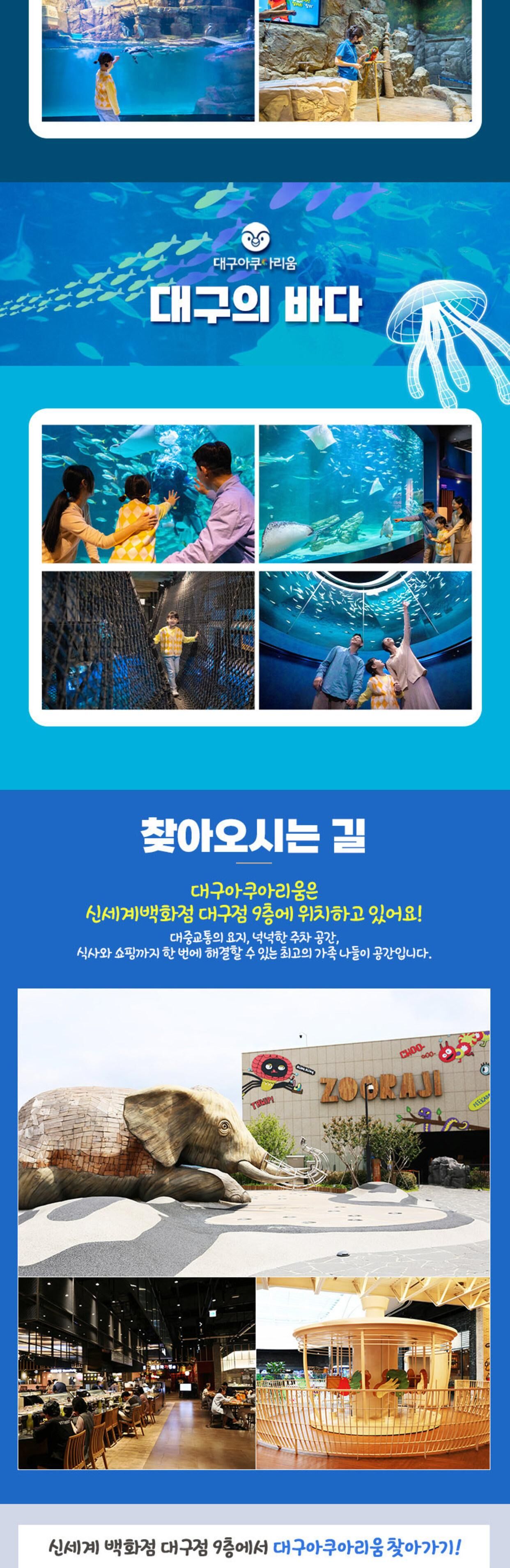 [대구 동구] 대구 아쿠아리움 입장권 상세 이미지 9