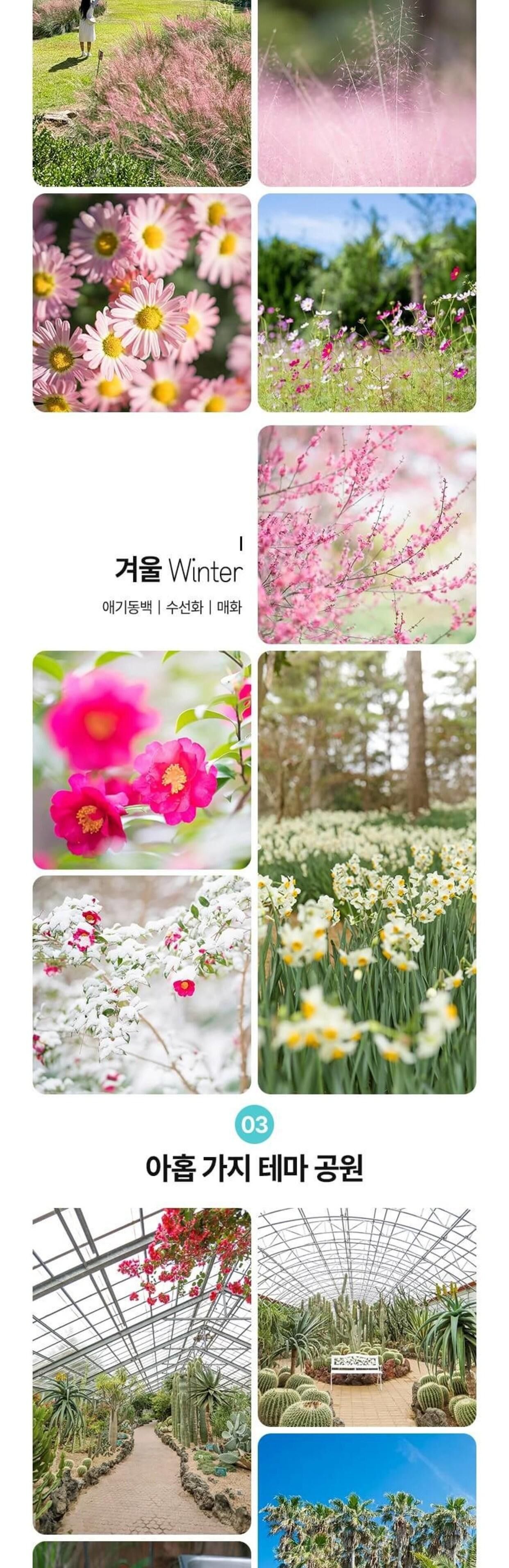 [제주] 한림공원+심쿵혜택 상세 이미지 5