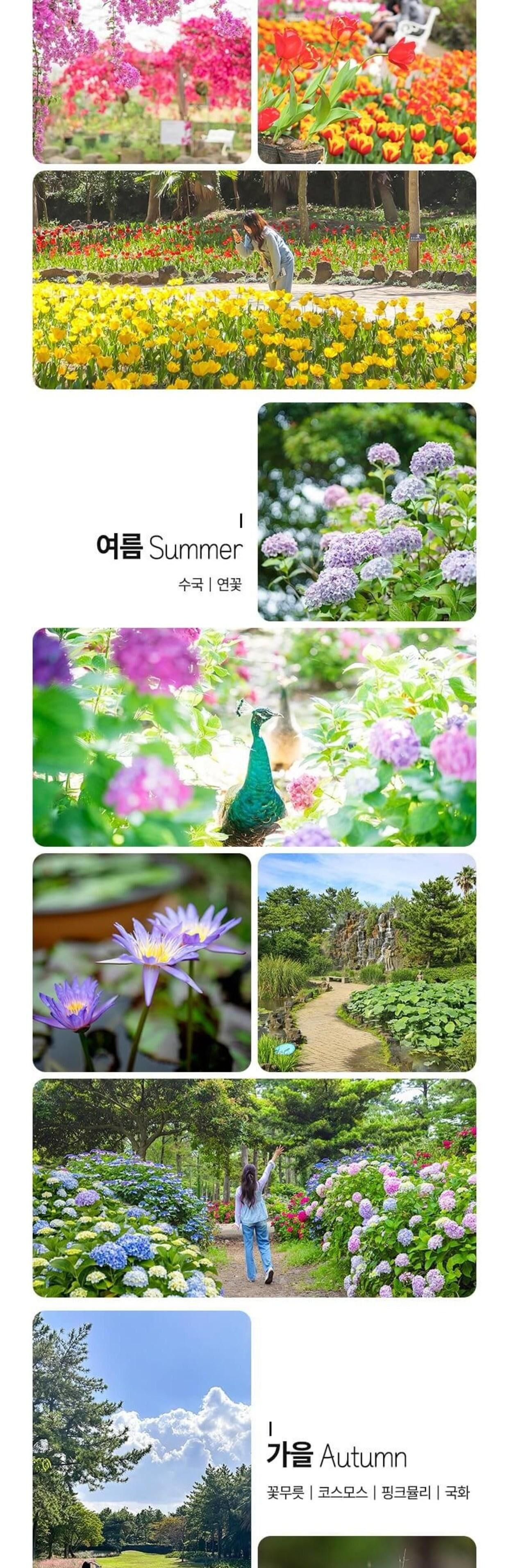 [제주] 한림공원+심쿵혜택 상세 이미지 4