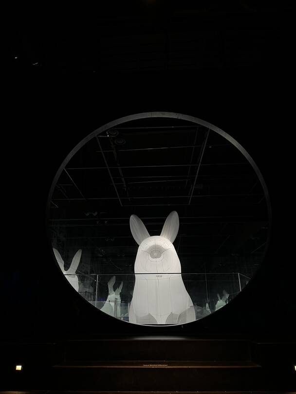 오사카, 제주도-장소7