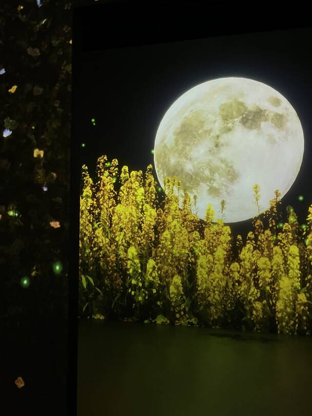 오사카, 제주도-장소8