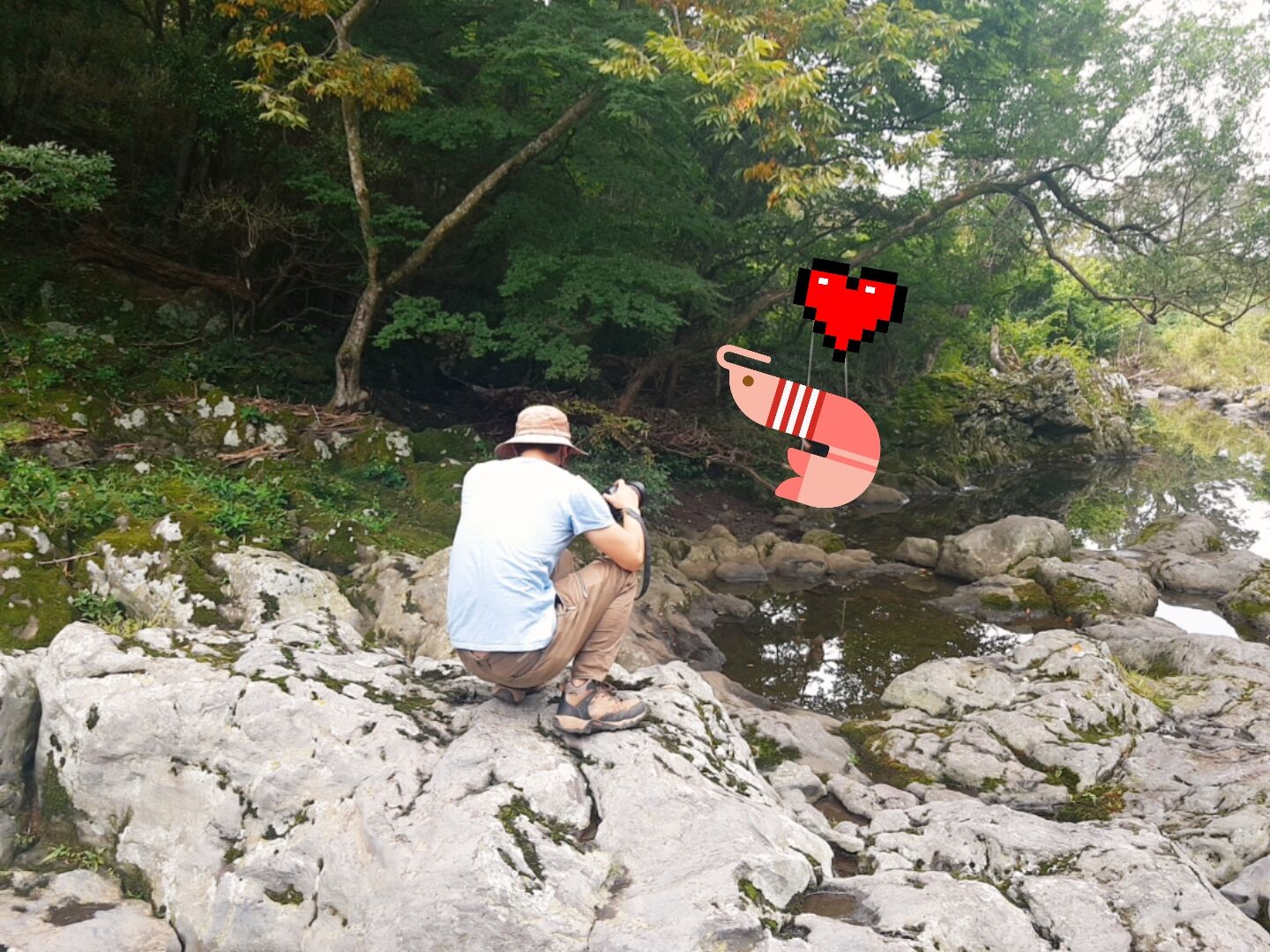 후기 사진