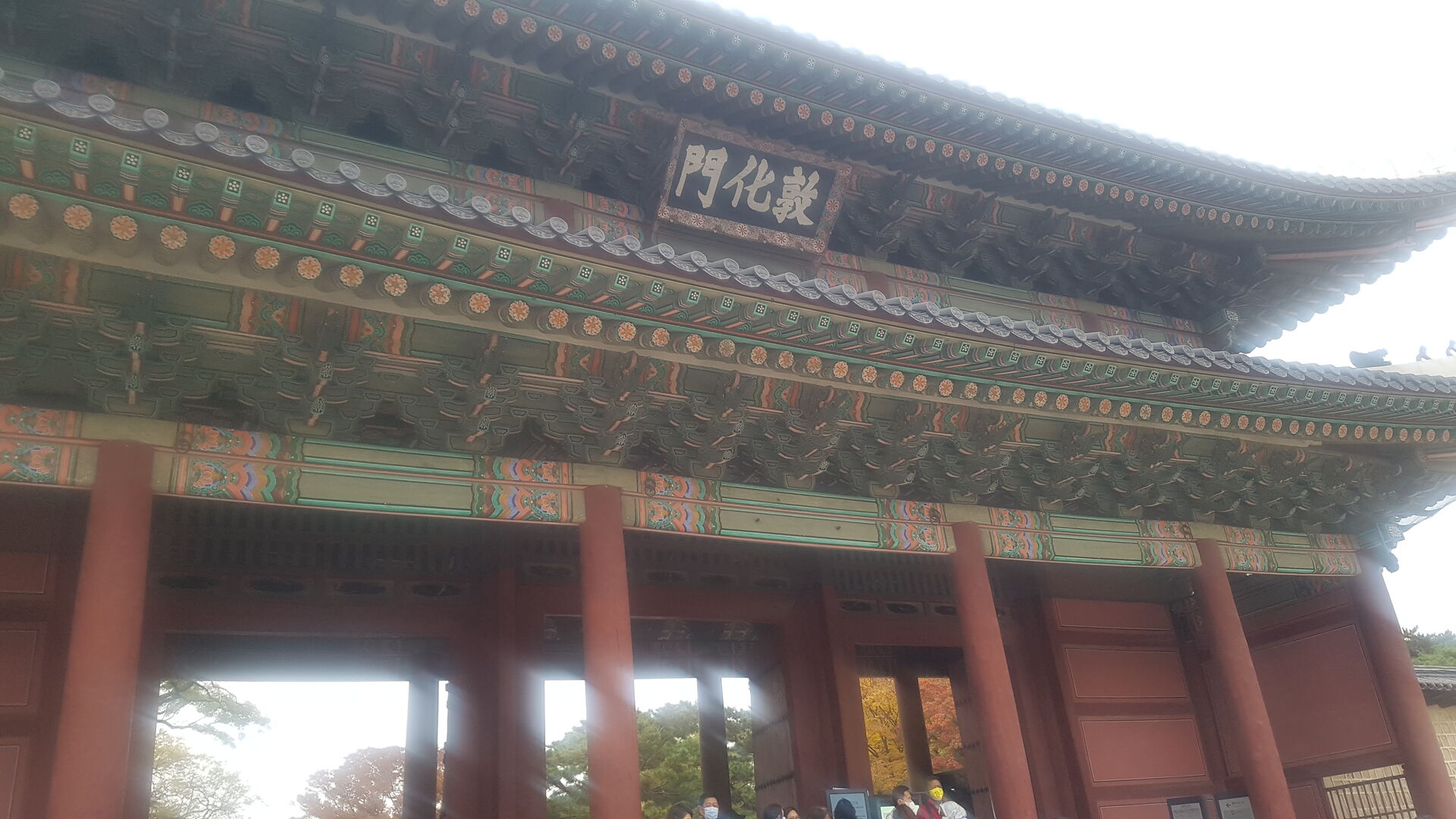 후기 사진