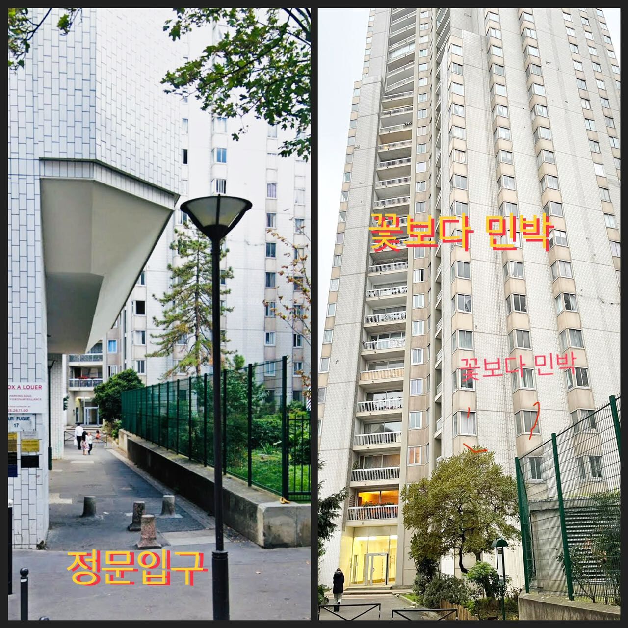 파리 꽃 보다 민박 (파리 1존) 본관, 별관 사진 6