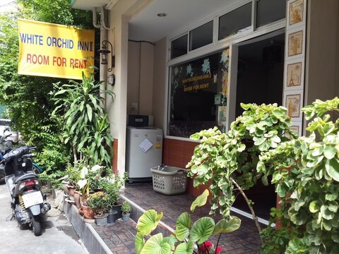 화이트 오키드 인 2