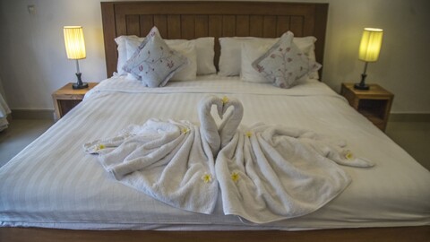 빌라 사피어 발리