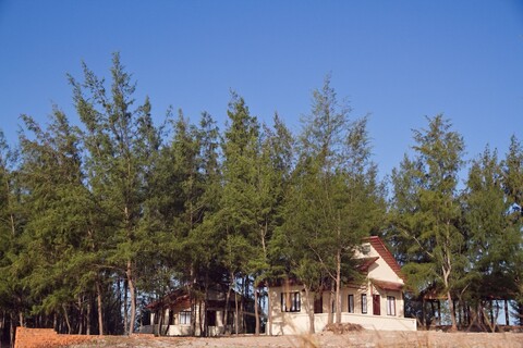 더 비치 하우스 리조트