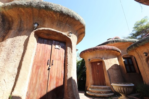 리피 그린스 클레이 하우스