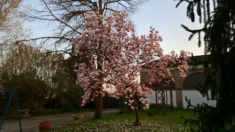 아그리투리스모 치폴리 에 포도 코르테 카를리니