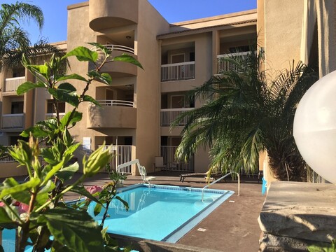 출라 비스타 인