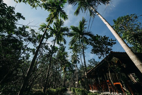 투이 비애우 홈스테이