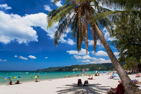 호텔 그랜드 오키드 인