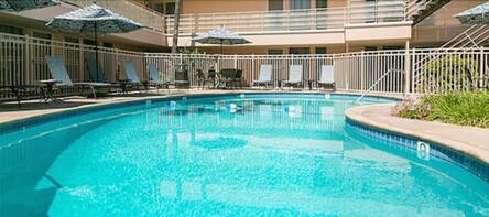 라 홀라 리비에라 인