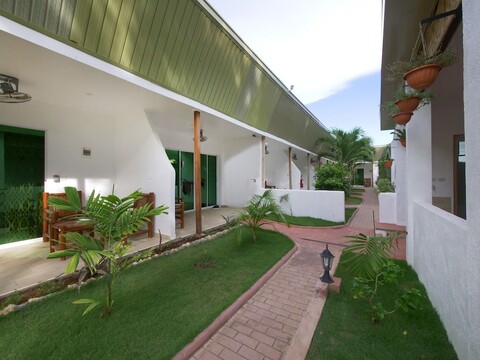 알로나 케코 인