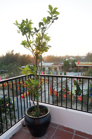 화이트 라이언 하우스