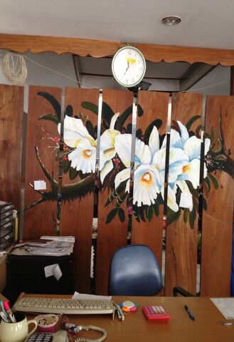 치앙마이 트리 호스텔