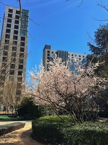 베이징 이러지아 아파트먼트