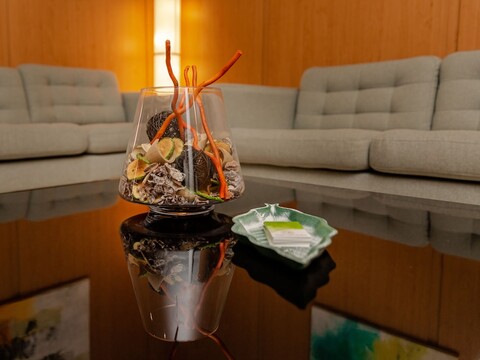 호텔 라스 에스트레야스