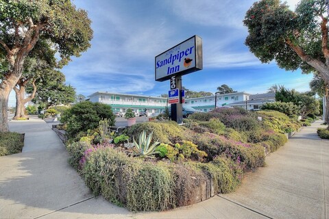 모로 베이 샌드파이퍼 인