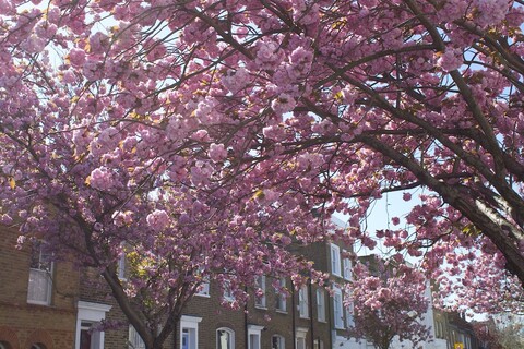 켄싱턴 올림픽 아파트먼트