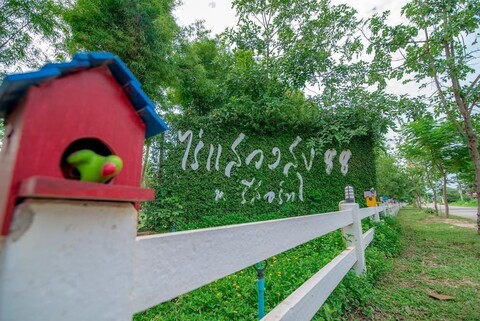 라이 사웨앙수크88