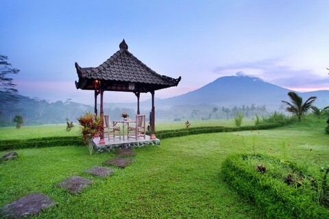 그레이트 마운틴 뷰스