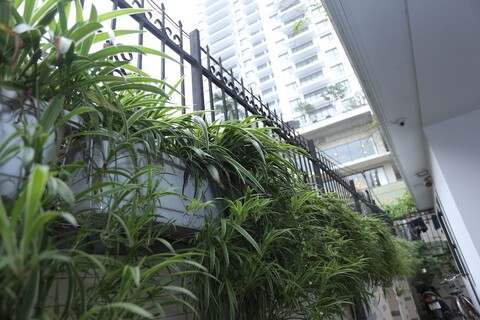 NYT 홈 따이 호 넘버 2