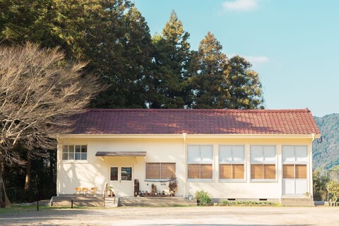 분코 스테이 하루히