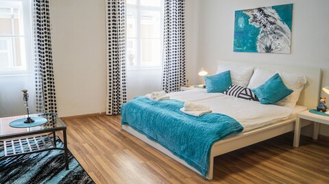 모던 아파트먼트 인 더 하트 오브 비엔나  5