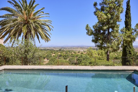 핑카 손 클라데라