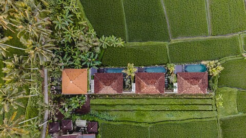 에어사니아 우붓 앤티크 빌라