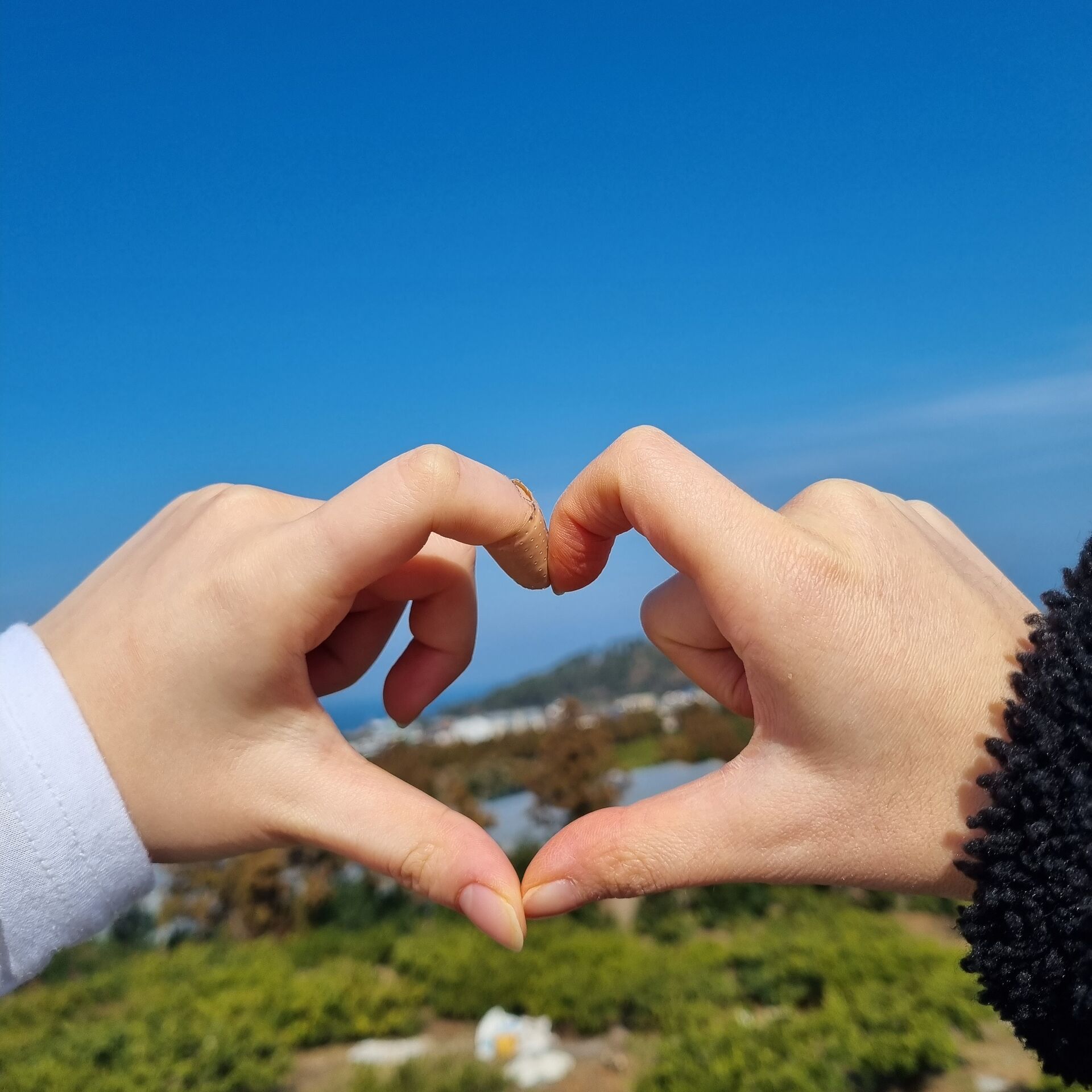 후기 사진